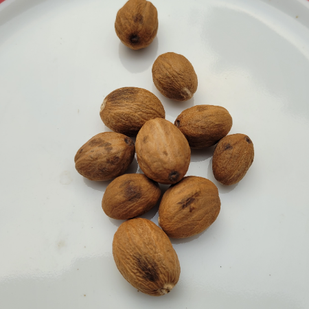 जायफल के गुण और उससे होने वाले आयुर्वेदिक इलाज