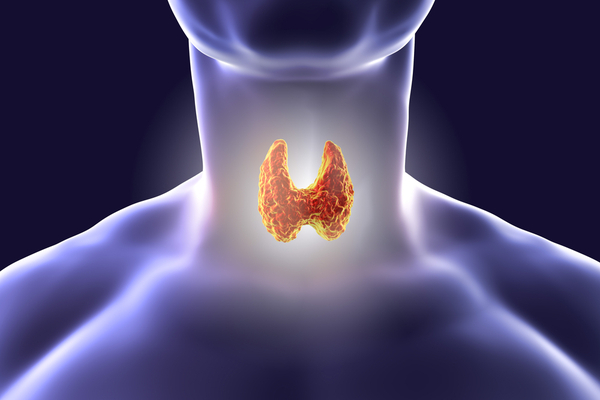 थाइराइड रोग (Thyroid Disease)