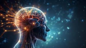 बुद्धि बढ़ाने की कुछ आयुर्वेदिक औषधियाँ