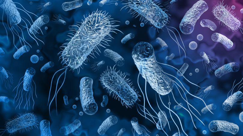 हैजा (Cholera)