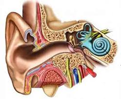 कान के रोग (Ear Diseases)