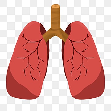 क्षय रोग (टी.बी.) (Tuberculosis)