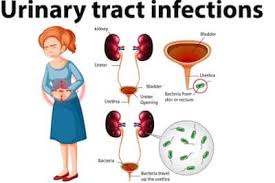 मूत्र-पथ संक्रमण (Urinary Tract Infection)