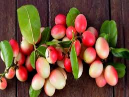 करोंदा के गुण और उससे होने वाले आयुर्वेदिक इलाज