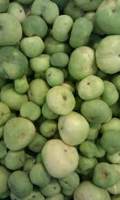 टिण्डा के गुण और उससे होने वाले आयुर्वेदिक इलाज