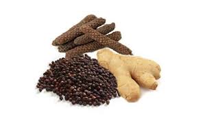 त्रिकुटा के गुण और उससे होने वाले आयुर्वेदिक इलाज