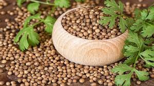 धनिया के गुण और उससे होने वाले आयुर्वेदिक इलाज