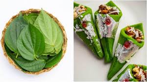 पान के गुण और उससे होने वाले आयुर्वेदिक इलाज