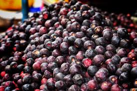 फालसा के गुण और उससे होने वाले आयुर्वेदिक इलाज