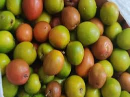 बेर के गुण और उससे होने वाले आयुर्वेदिक इलाज