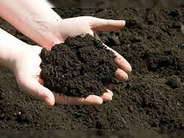 मिट्टी के गुण और उससे होने वाले आयुर्वेदिक इलाज